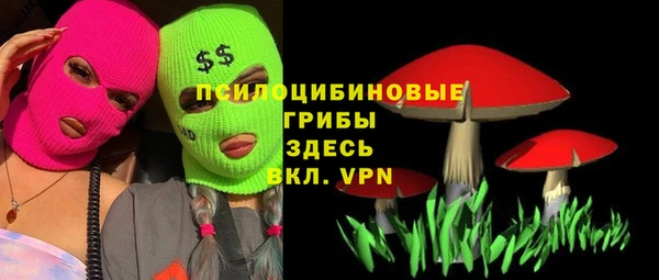 mix Абаза