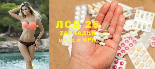дмт Ельня