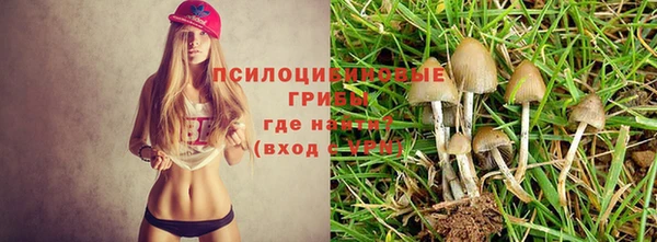 индика Абинск