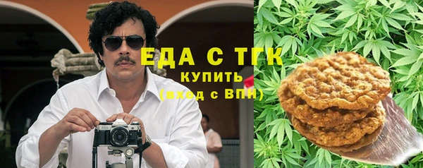 индика Абинск