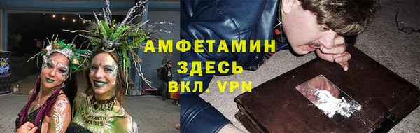 индика Абинск